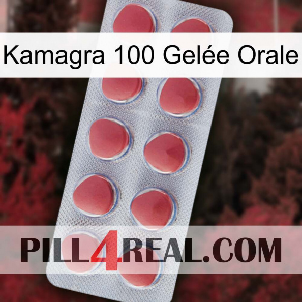 Kamagra 100 Gelée Orale 18